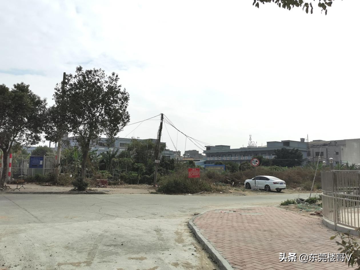 沙田碧桂园柏丽湾二期怎么样,沙田碧桂园柏丽湾入住率高不高