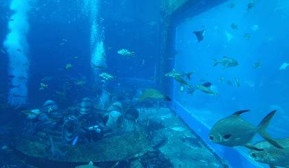 上九天揽月，下五洋捉鳖。看二孩老父亲如何带全家打卡亚特兰蒂斯