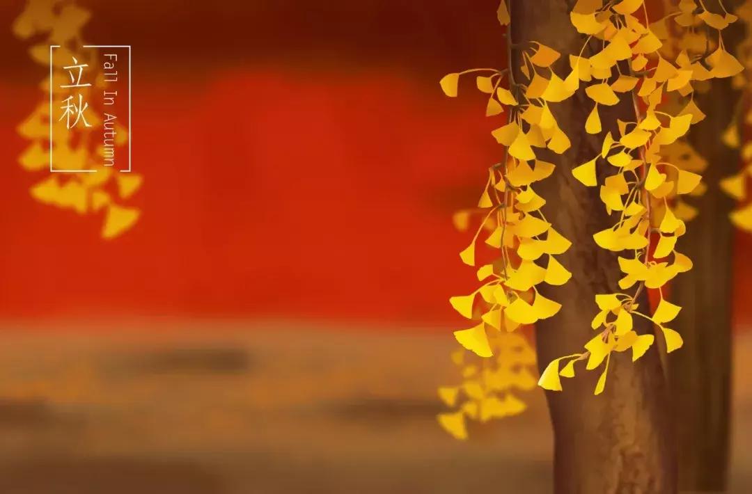 今日立秋应景诵读古诗一首,今日立秋诗词里的秋天