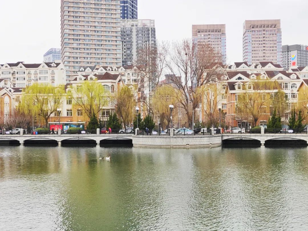 大连儿童公园，绿波荡漾的明泽湖，少了几分喧嚣，多了几分宁静