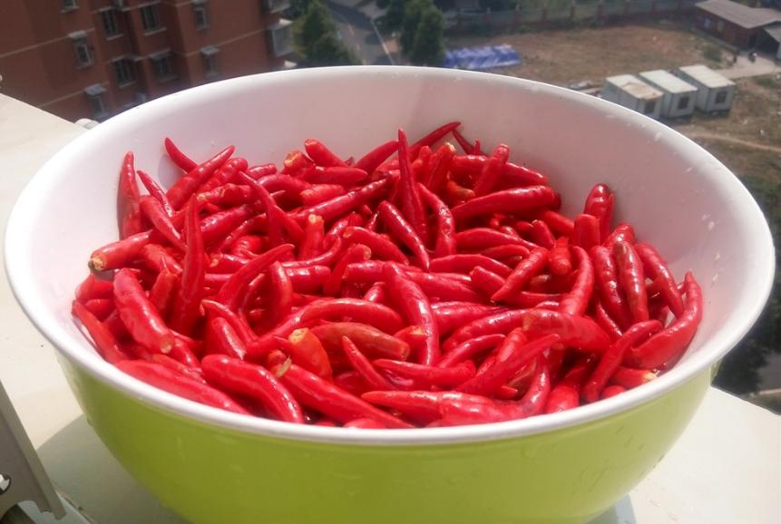 辣椒酱的正确熬制方法配方,辣椒酱的配方做法视频