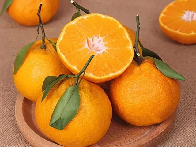 日本都市巡礼之——日本第一位吉祥物公务员的故乡