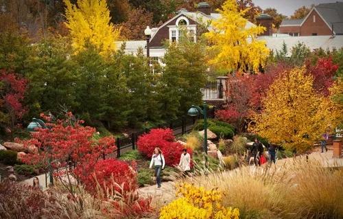 乐训星空：藤校不足0.5%的录取率说明了什么？