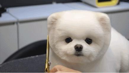 tony老师高阶换头术,90后tony老师换头术