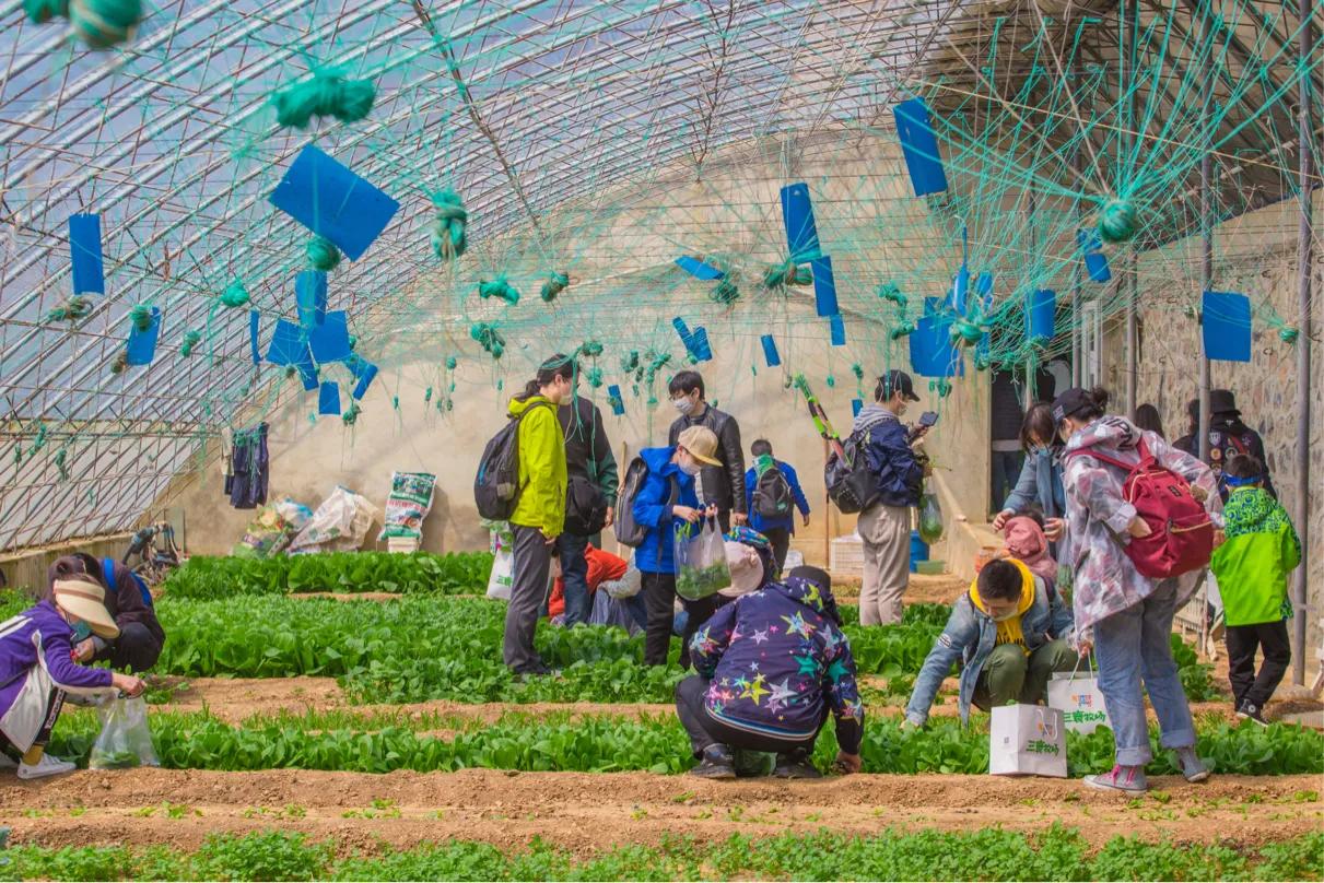 三寰牧场启动春耕节，别样活动促进后疫情时期文旅经济复苏