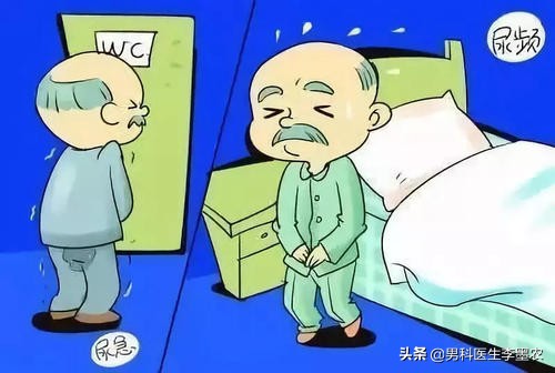 经常尿频是什么病的前兆,突发尿频是什么原因导致的