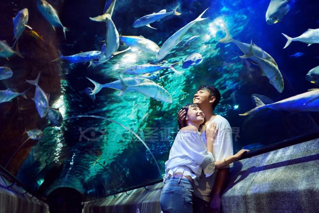 来大连必去的圣亚海洋世界,游玩攻略潮玩街区大连高新万达