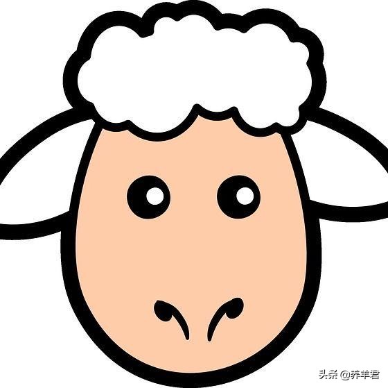 怎么选择优秀的奶山羊,萨能奶山羊特征