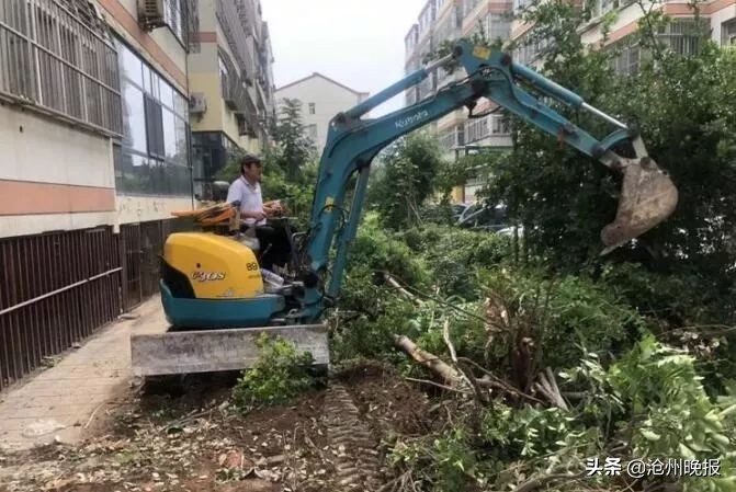 2024年沧州老旧小区改造项目内容,2022沧州老旧小区改造名单