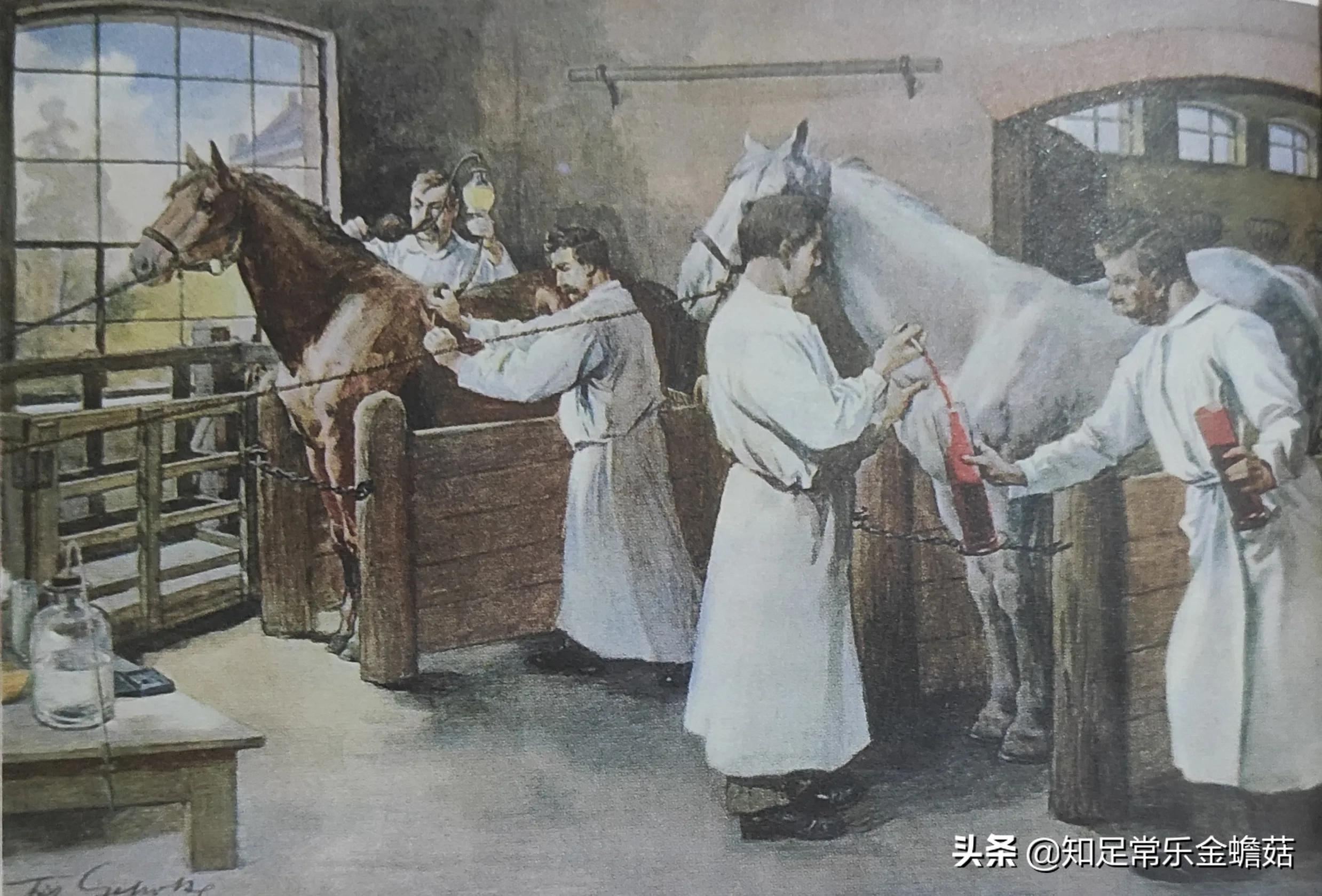 令人闻风丧胆的“儿童杀手”——白喉，是如何被征服的？