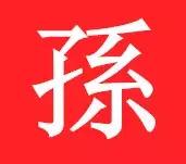 第一届世界孙氏宗亲联谊会,孙氏宗亲祠堂祭祖大会