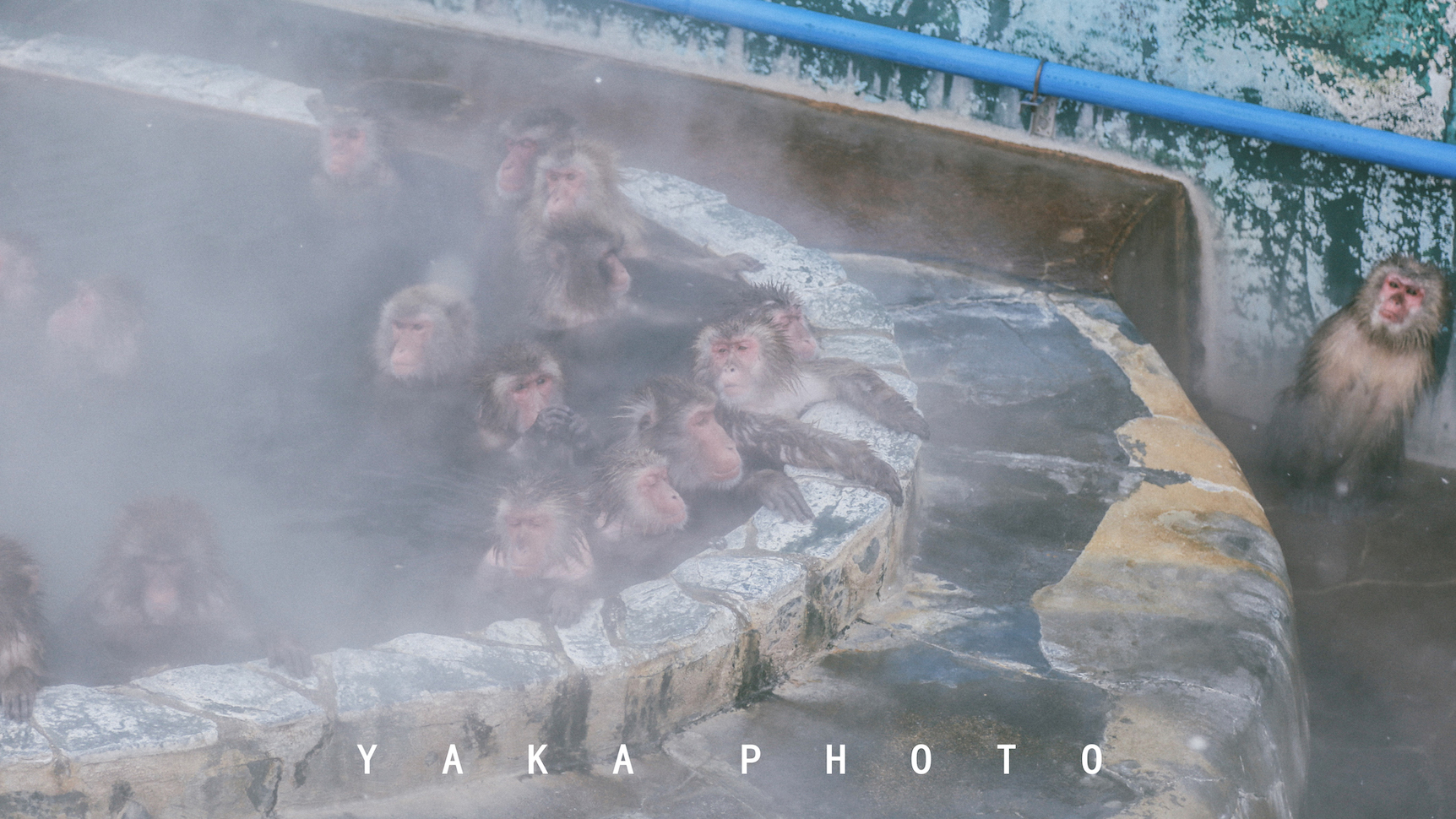 日本北海道旭川到函馆的距离,北海道函馆景点