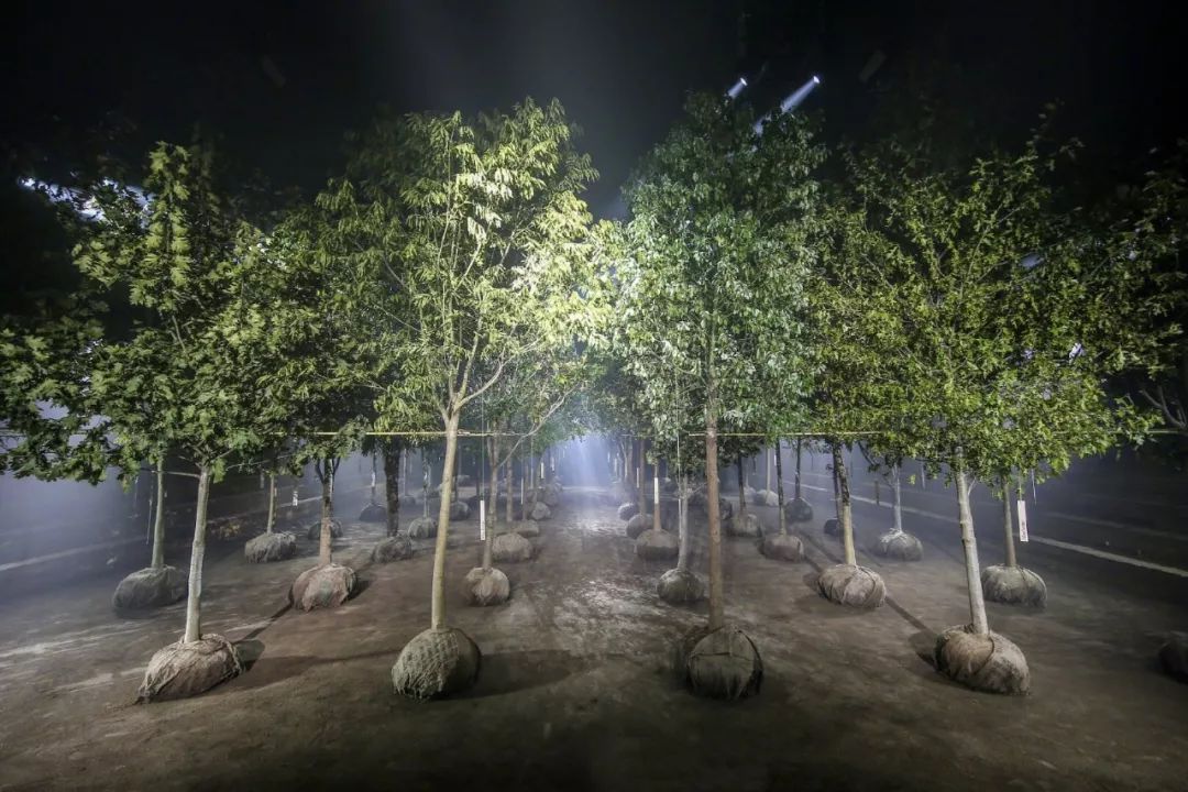 最值得买的dior,dior值得买的马鞍包是哪款