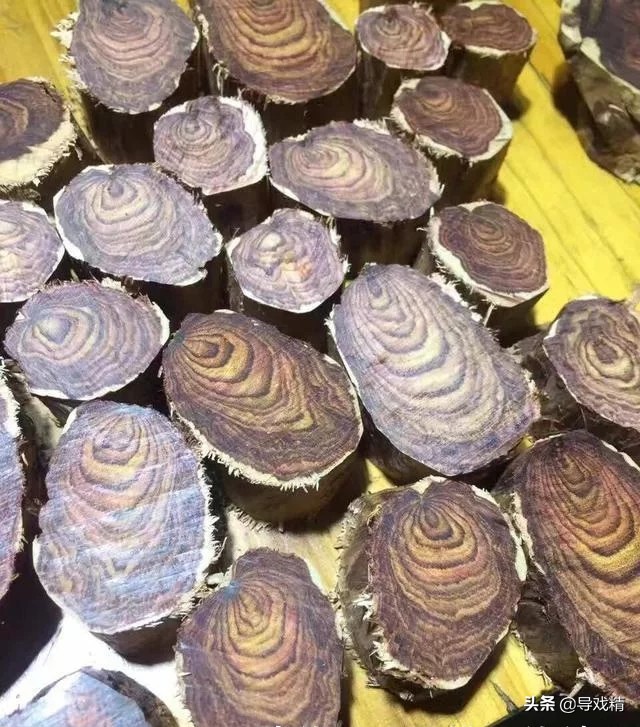 男子山上砍拐杖高价卖,男子花千元买根木头