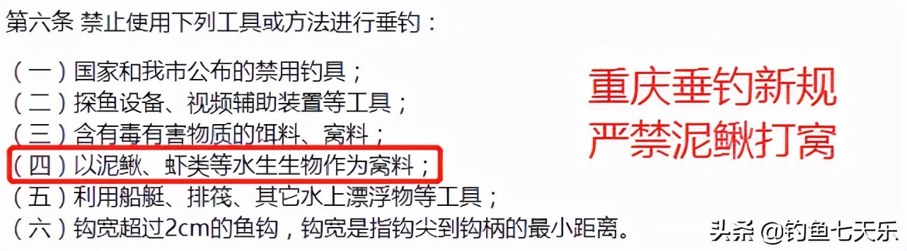 泥鳅钓鱼禁止了吗,重庆溪流禁钓政策