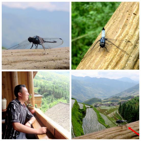 榫欒剨姊敯鏀荤暐鍙嶆淳,榫欒剨姊敯鎬紓