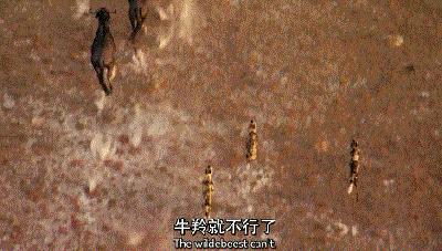 长春家长都领着孩子在干这件事儿,你没做,就落后了!