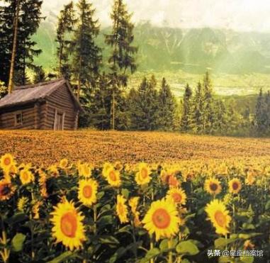 水瓶座男生的性格特点,摩羯座女生的性格特点