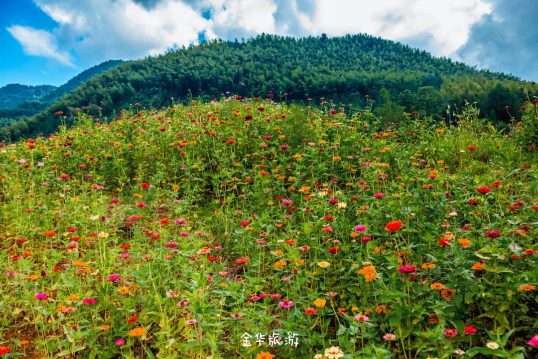 藏在崇山峻岭深处的世外桃源,藏在深山老林里的世外桃源