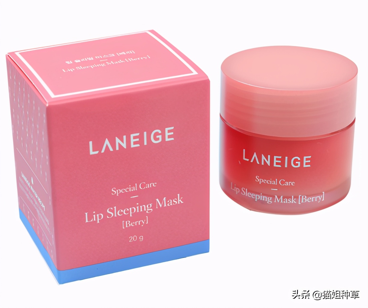 秋冬嘴巴干裂润唇膏推荐,秋冬唇釉显白气质唇釉推荐色