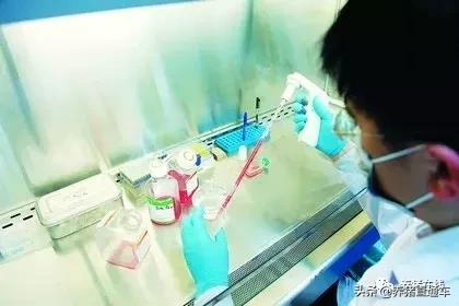 疫苗补种技巧视频,养殖户自购疫苗注意事项