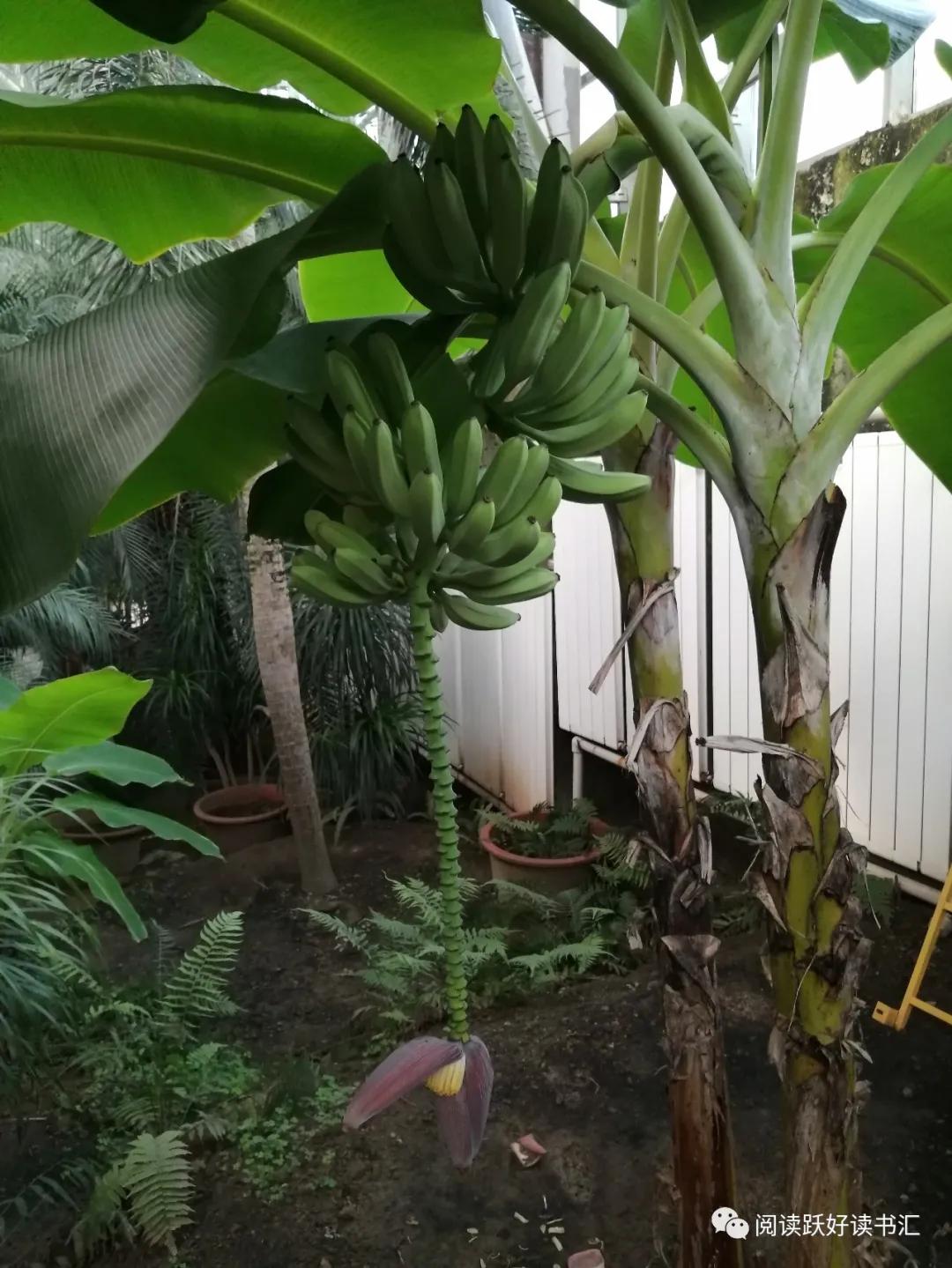 大连近郊都有哪些旅游景点,大连近郊小众景点大全