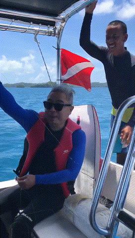 帕劳金色水母,帕劳水母旅行