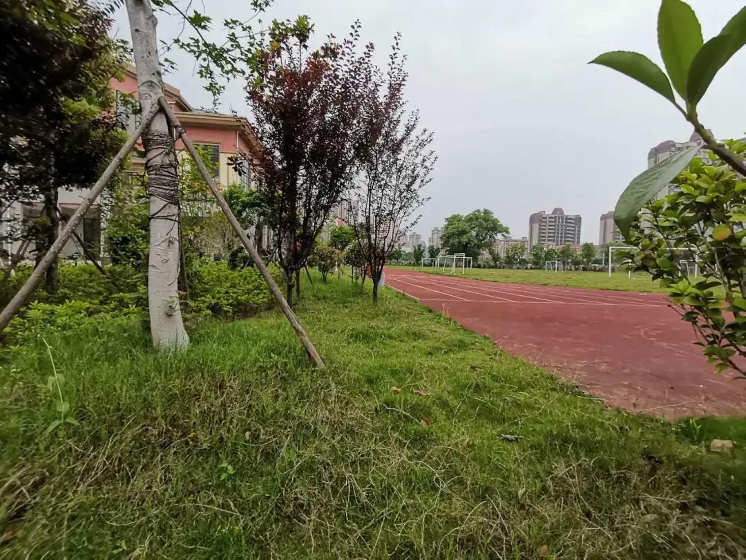 吉安各楼盘附近学校,吉安8中分校学区房