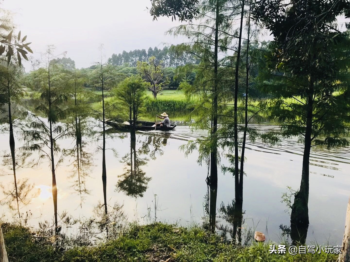 去过松山湖，但你不一定来过这里，好安静、超漂亮，100个赞