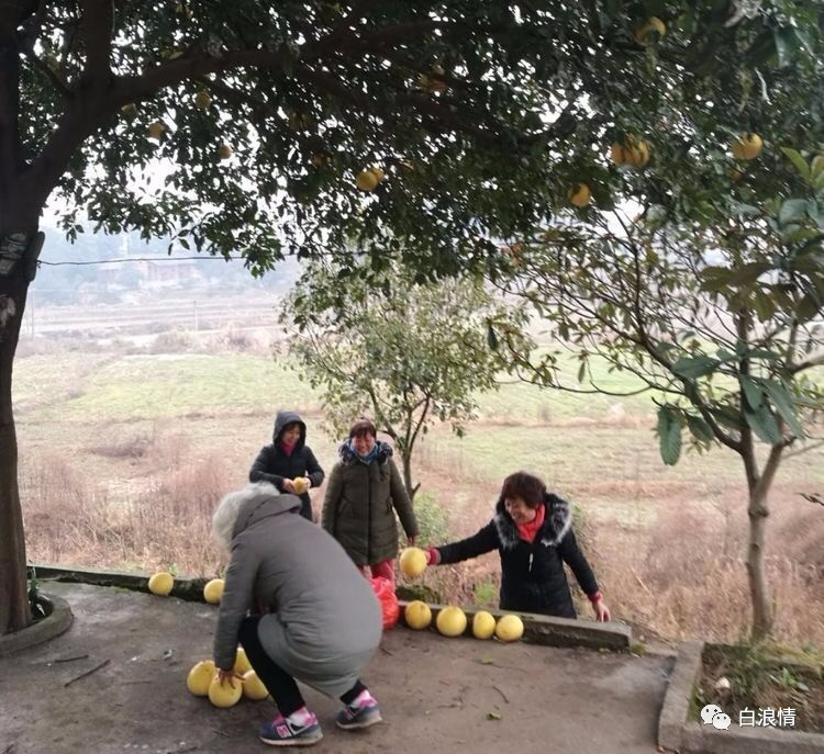 原创冬靴,原创冬帽