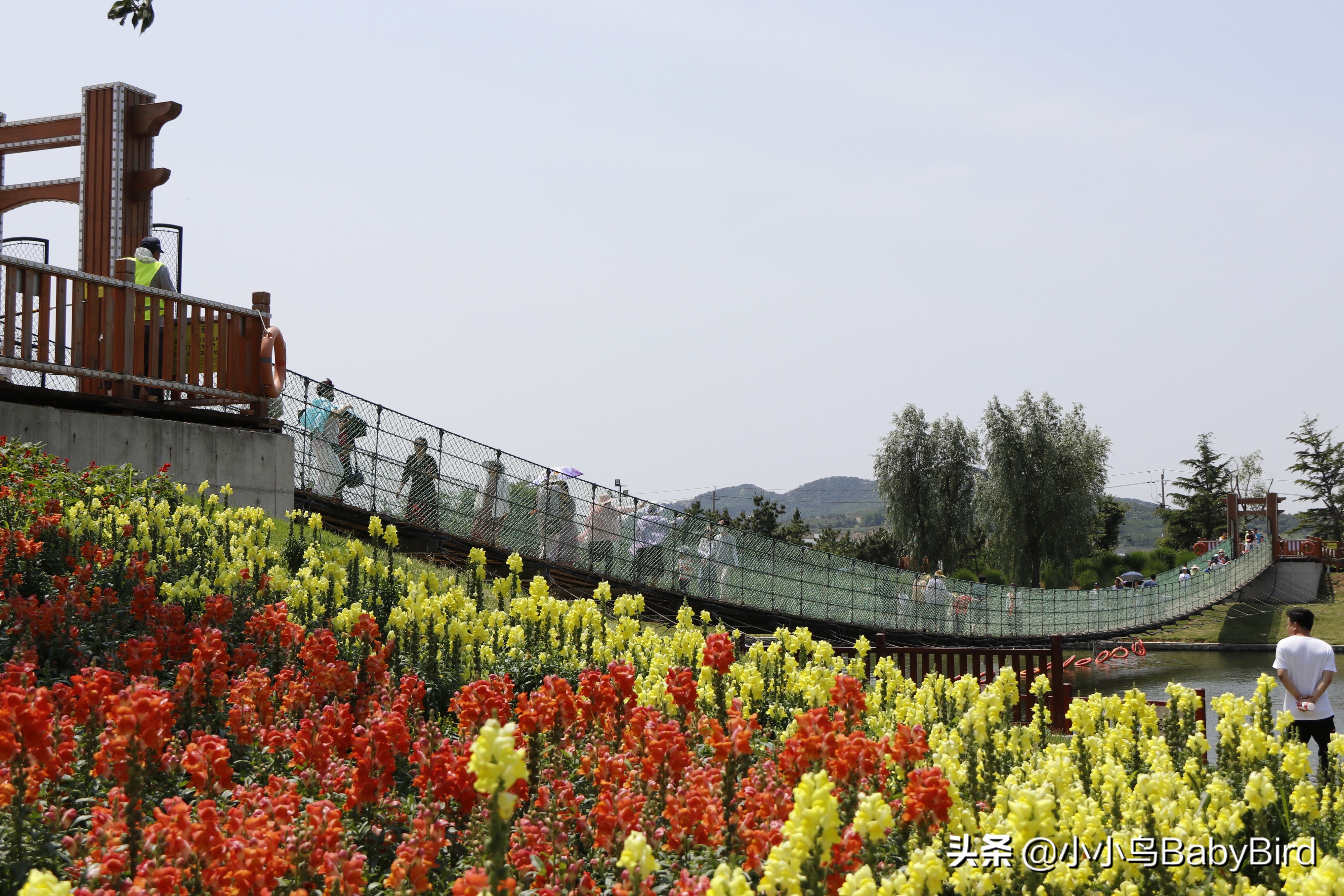 威海羊亭湿地公园,大美河畔