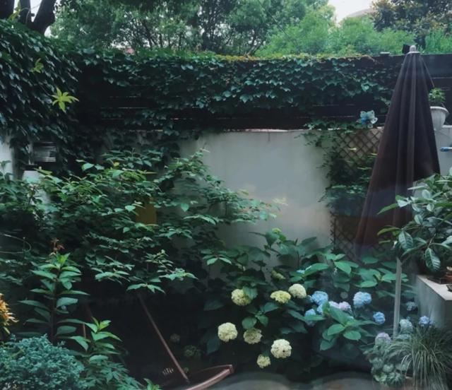 改造上海一家三口27平老房,小夫妻改造上海老房子装修40多万