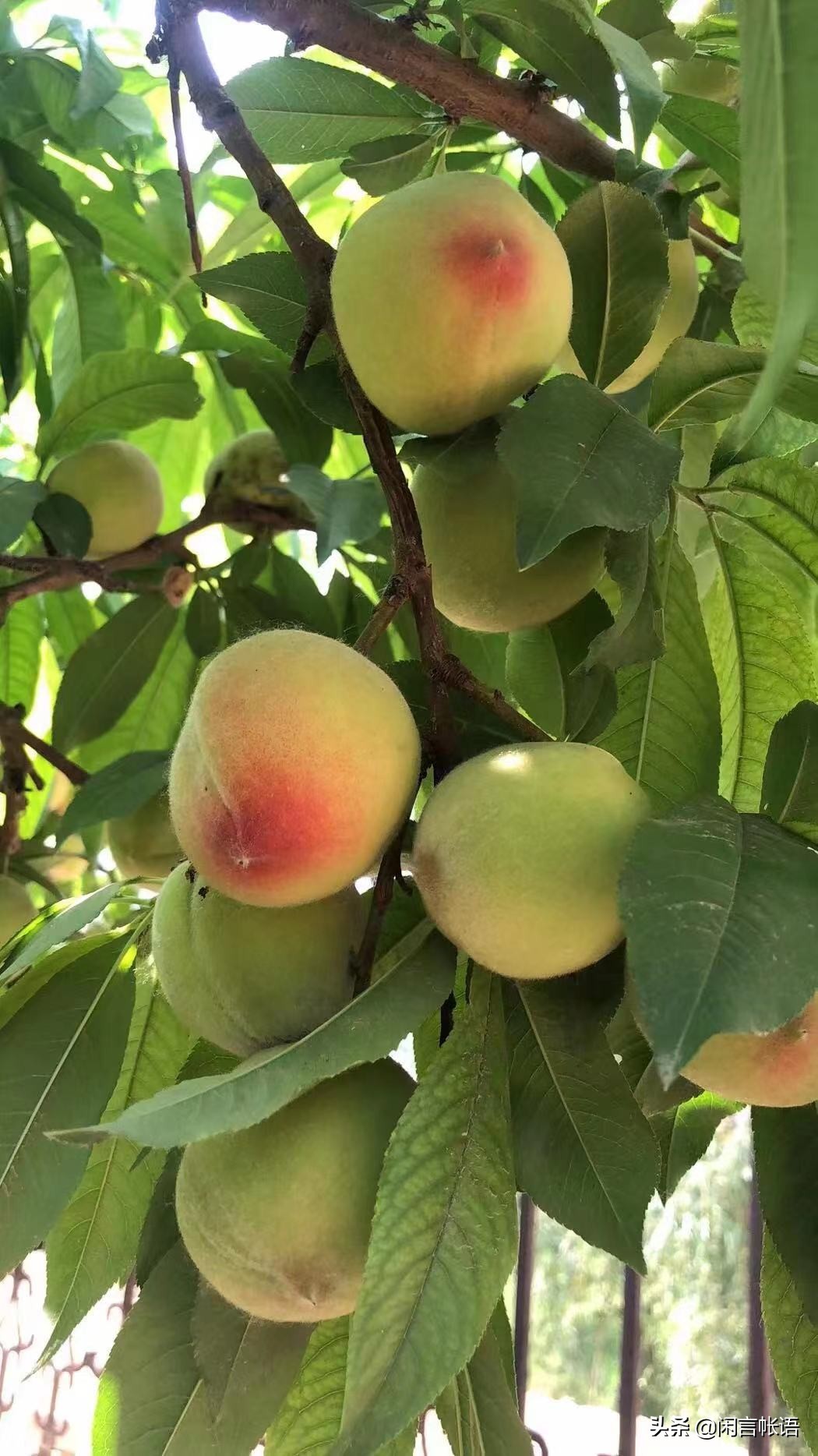 张居正和李太后的奸情