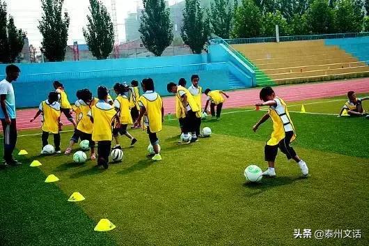 30万足球老师的生存状况调查