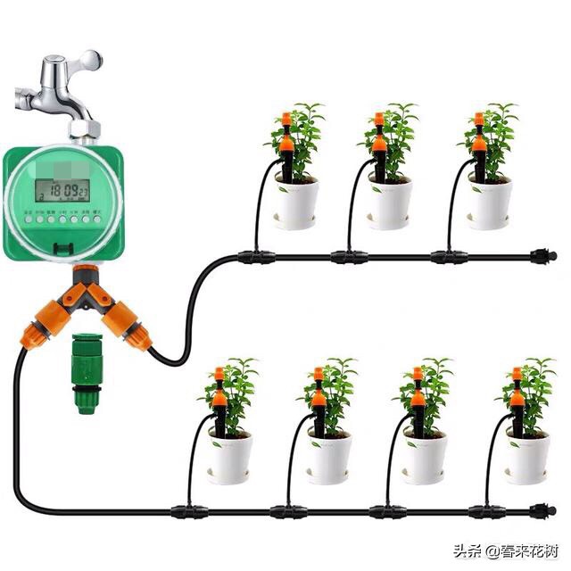 出差旅行又担心花草没浇水干死?学会三招,出去多久都不用担心