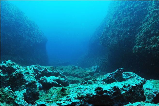 吉尔伽美什个人简介,吉尔伽美什简介