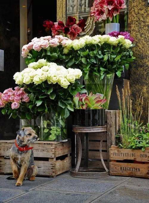 何其幸运开一家属于自己的花店,开了一家属于自己的花店