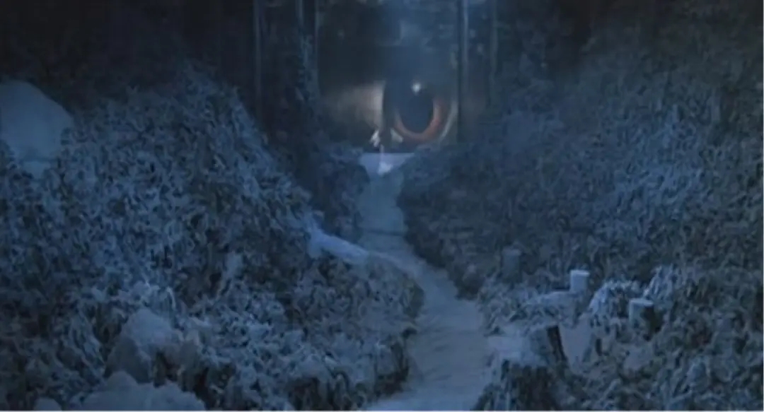 十大恐怖片咒怨,日本恐怖片前十排行榜咒怨