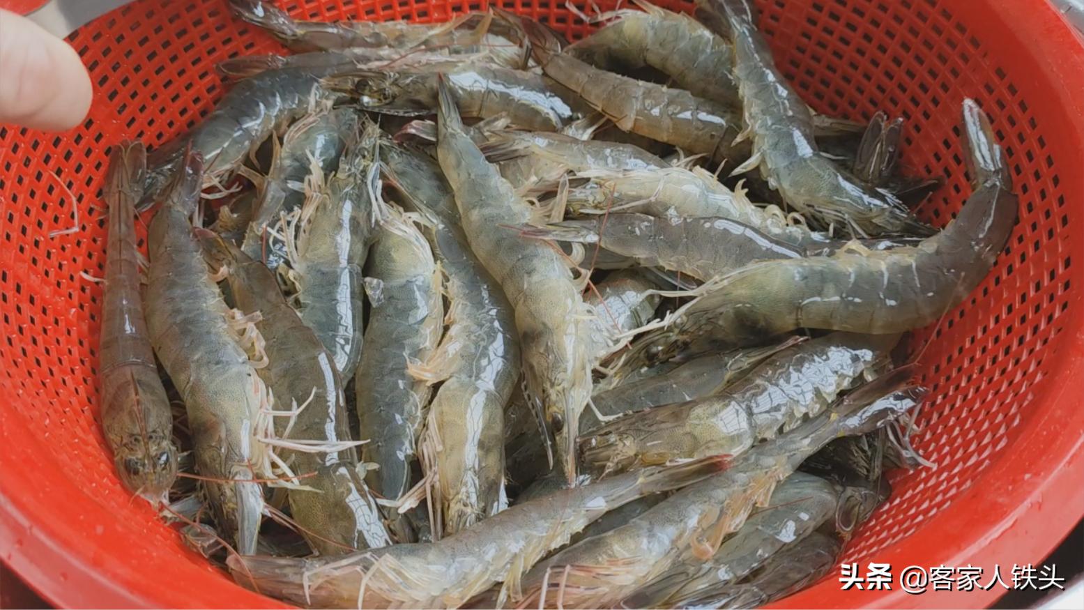 鲜虾最过瘾的吃法,鲜虾白灼做法大全