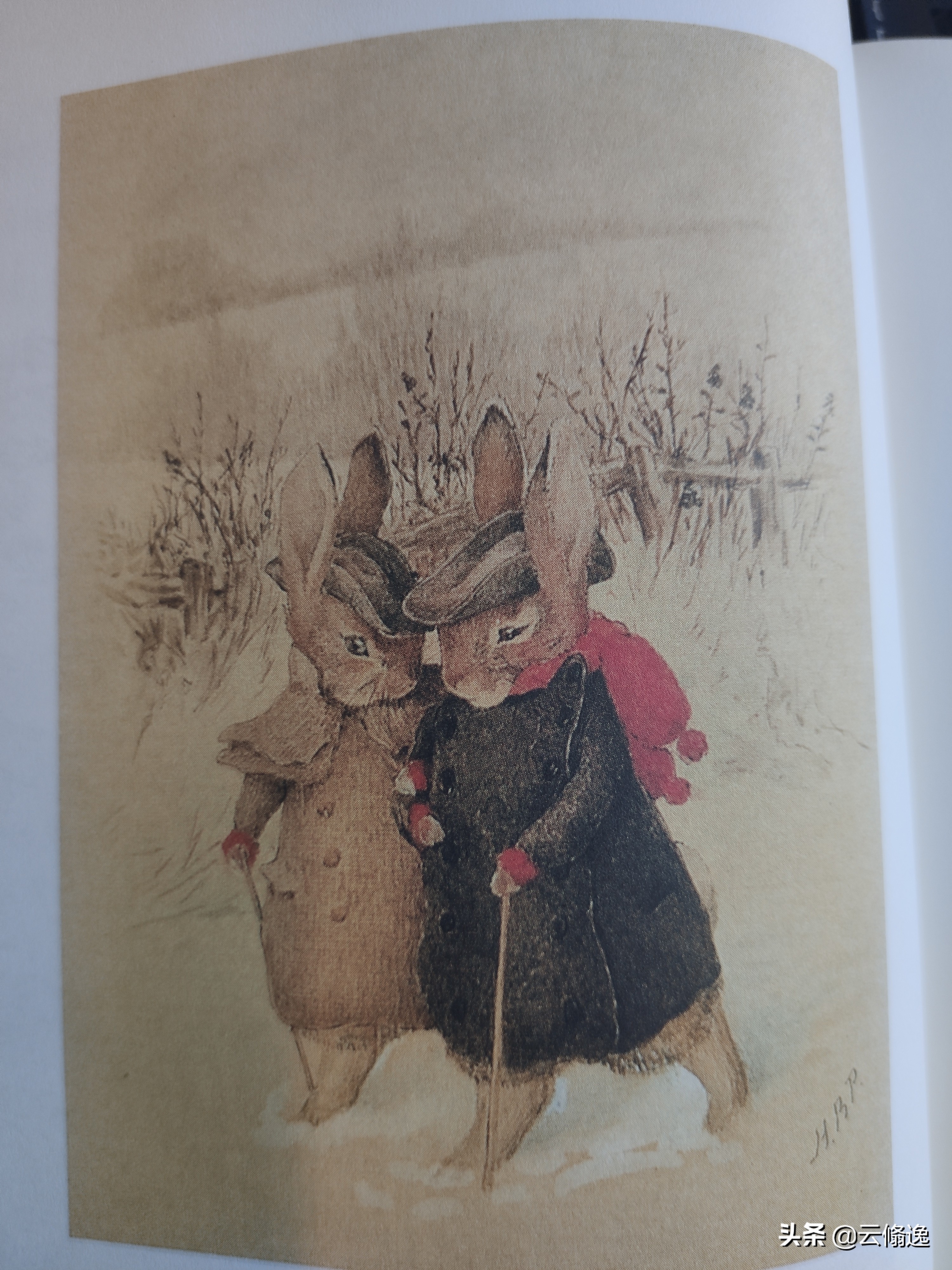 是一个怎样的妈妈，画出了一个一百多年来深受欢迎的彼得兔呢？