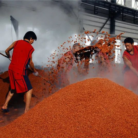 郎酒哪种酒值得收藏,贵州十大酱香名酒郎酒