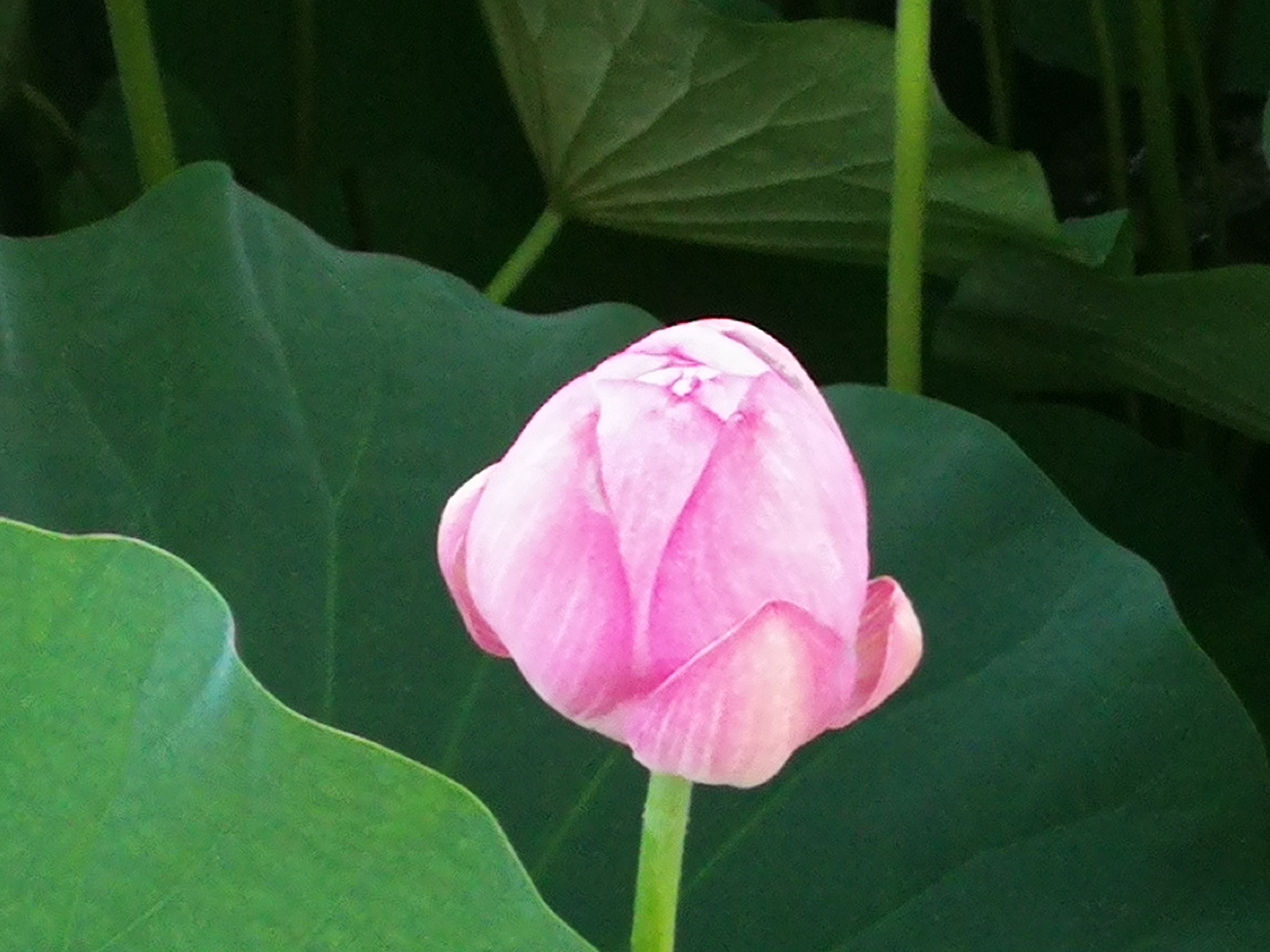 一文弄懂银行二级资本债,一文读懂储蓄理财险