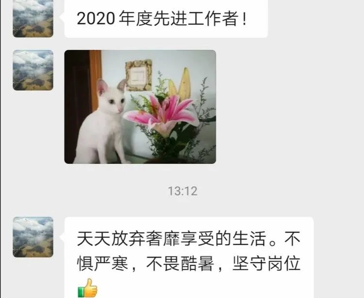 开挂区养多肉,非开挂区怎么把多肉养出状态