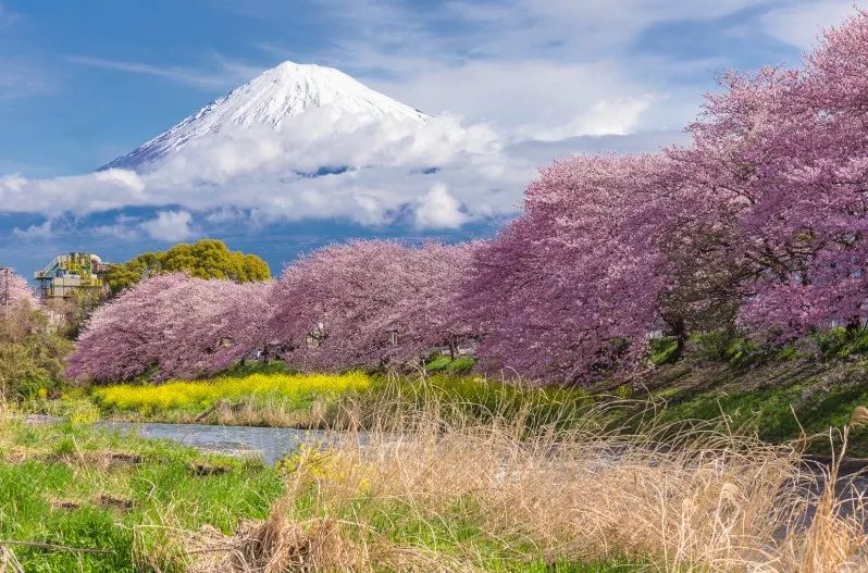 资深玩家推荐旅游,日本海滨度假胜地