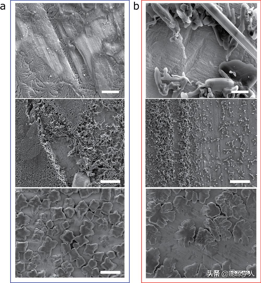 了解无阳极电池中铜上的SEI形成和锂电镀