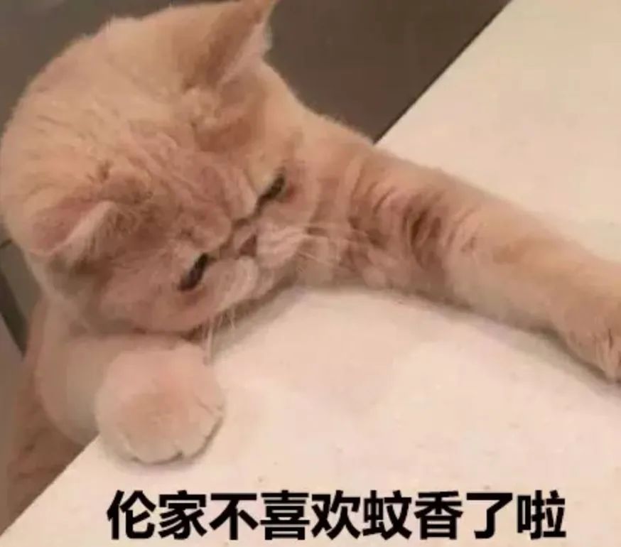 夏天驱蚊对猫有影响吗,夏天喷洒什么药杀死蚊子苍蝇