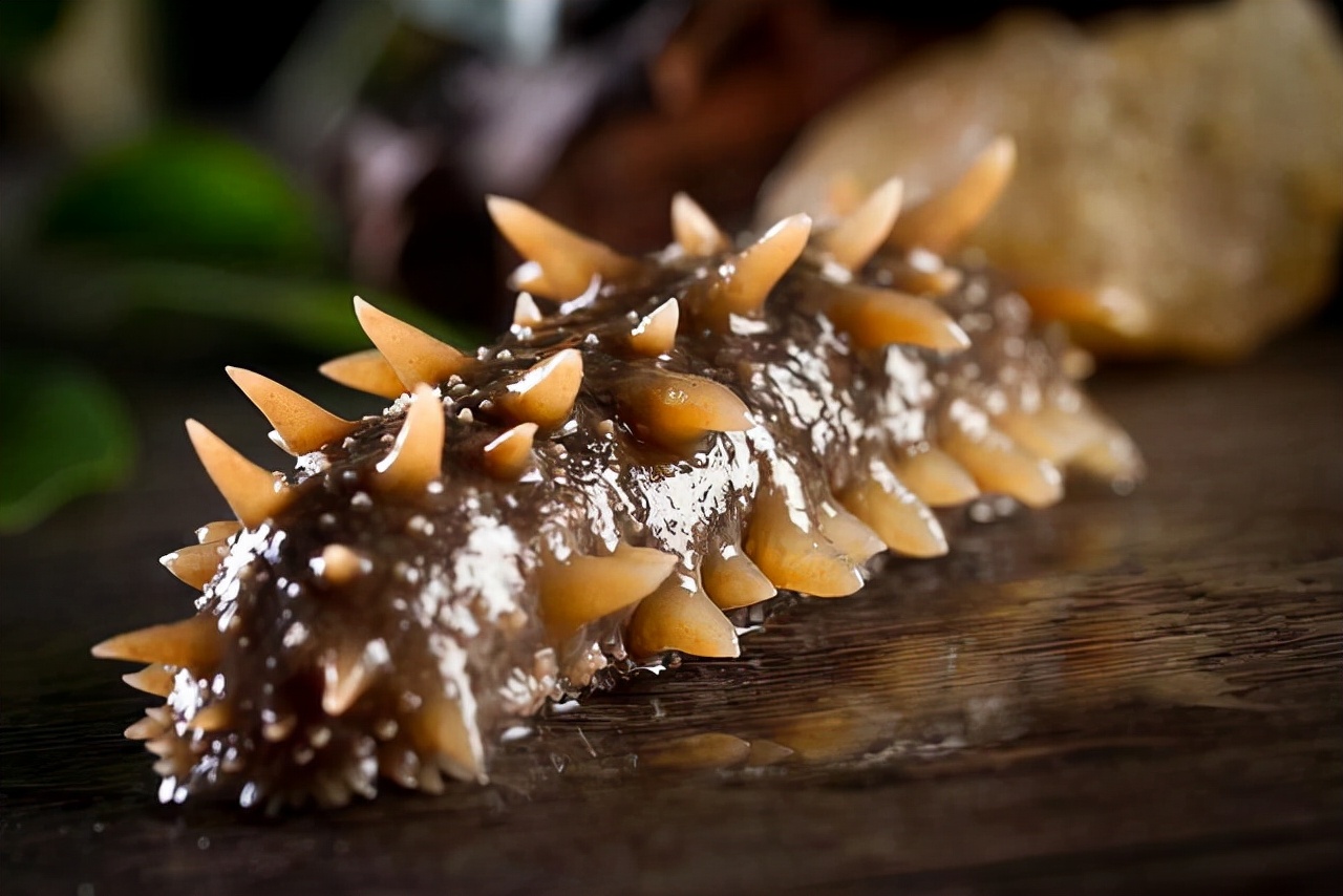 燕窝鲍鱼真的营养价值高吗,鲍鱼燕窝海参