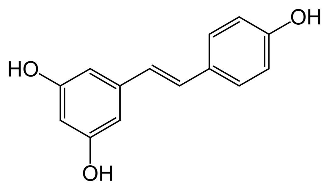 护肤大网红前十名,护肤网红神仙产品