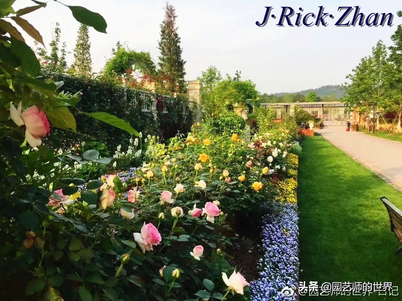 城市蔬菜园景观设计,蔬菜花园造型