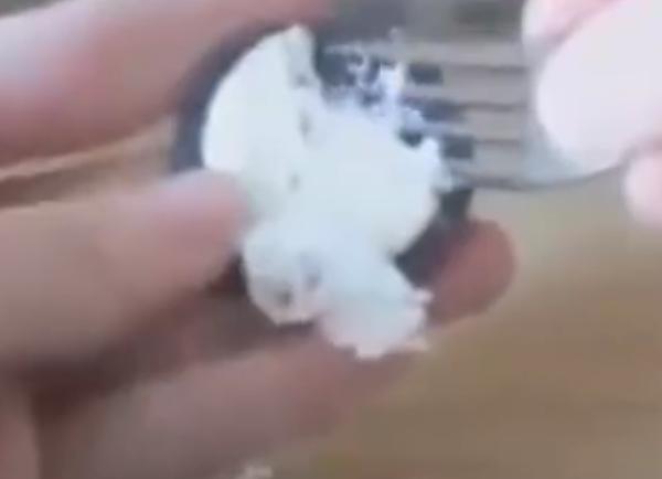 俄罗斯直播圈：高颜值洋妞有吃有聊更有料，还能娶回家…